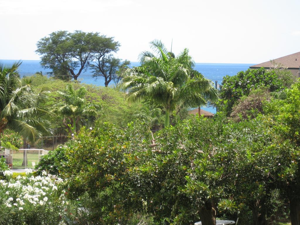 Maui Vista By Maui Condo And Home Kihei Værelse billede